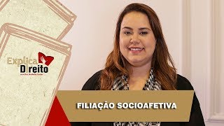 Explica Direito Filiação Socioafetiva  2019 [upl. by Yauqaj]