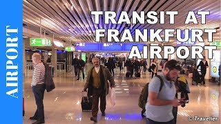 TRANSIT WALK AT FRANKFURT Airport FRA Terminal 1  Connection Flight Transfer Arriving amp Departing [upl. by Prissie]